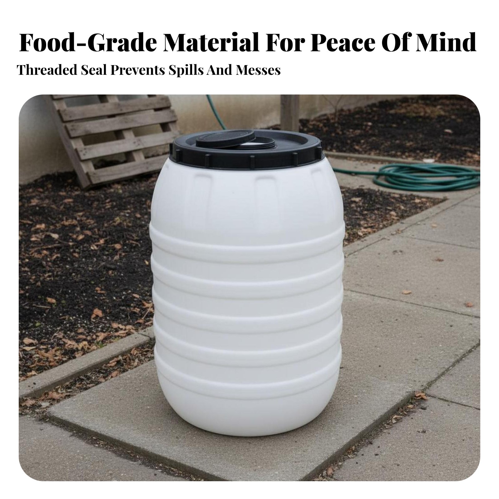 Lebensmittelechter Kunststoffb – Food Storage Plastic Bewertung und Preis