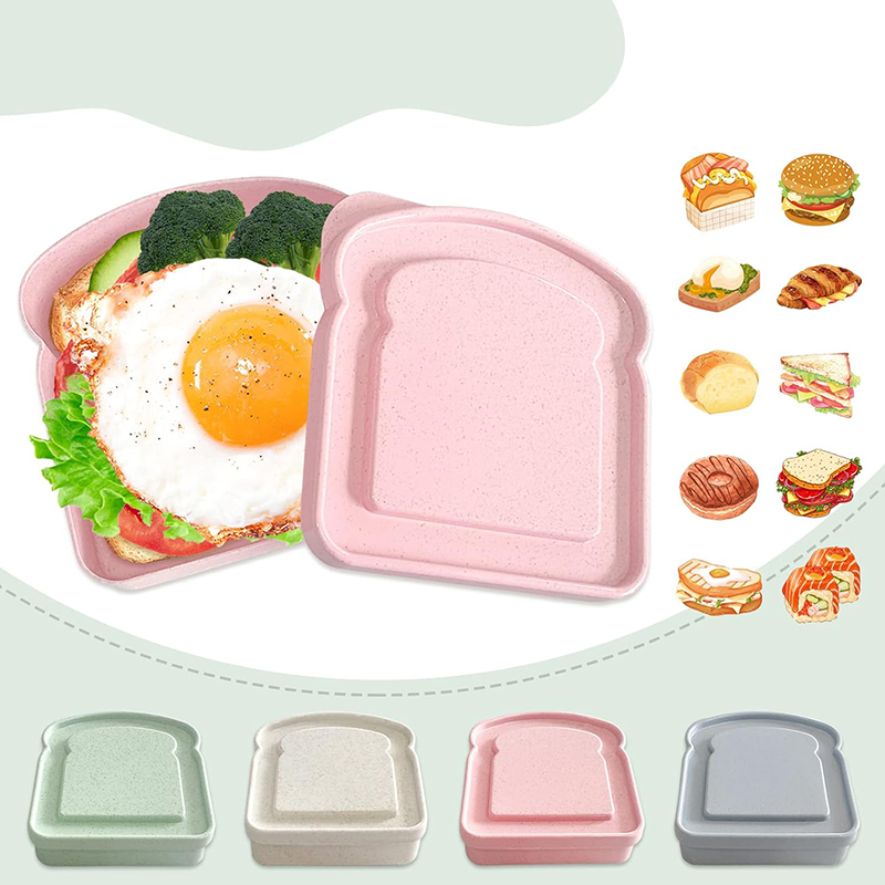 Sandwich behälter Lunchbox Toa – Food Storage Made Easy Bewertung und Preis