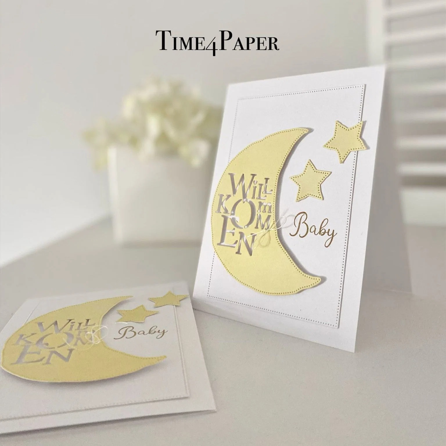 Baby-Koffer-Stempel und -Schab – Food Storage For Baby Bewertung und Preis